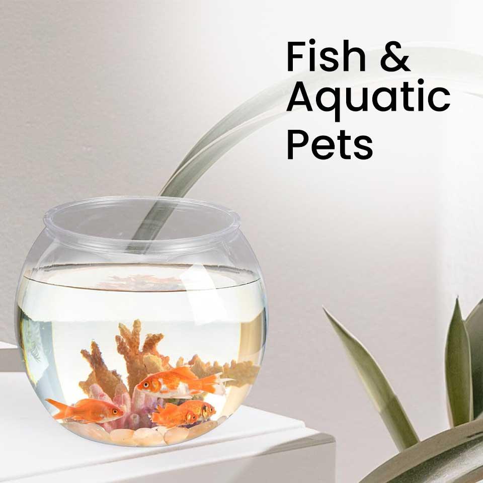 Fish & Aquatic Pets