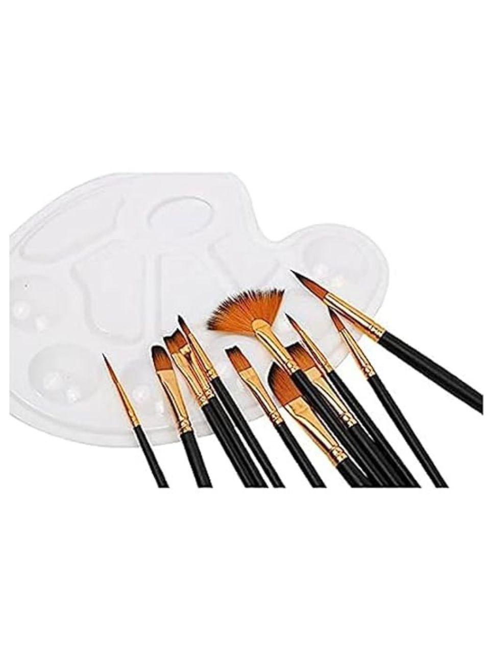 Painting Brushes Set of 12 Professional Round Pointed Tip Nylon Hair Artist Acrylic Paint Brush for Acrylic/Watercolor/Oil Painting(N)